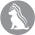 CLUB 4 PAWS ПРЕМИУМ ЗА МАЛКИ КУЧЕНЦА ОТ ВСИЧКИ ПОРОДИ. «С ВИСОКО СЪДЪРЖАНИЕ НА ПИЛЕ». ПЪЛНОЦЕНЕН СУХА ХРАНА