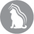 CLUB 4 PAWS ПРЕМИУМ ЗА КОТЕНЦА "СЪС ПУЙКА В ЖЕЛЕ". ПЪЛНОЦЕННА КОНСЕРВИРАНА ХРАНА